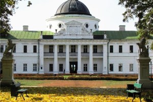 Дворец Тарновских, Качановка